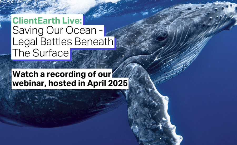 Only the Ocean | ClientEarth