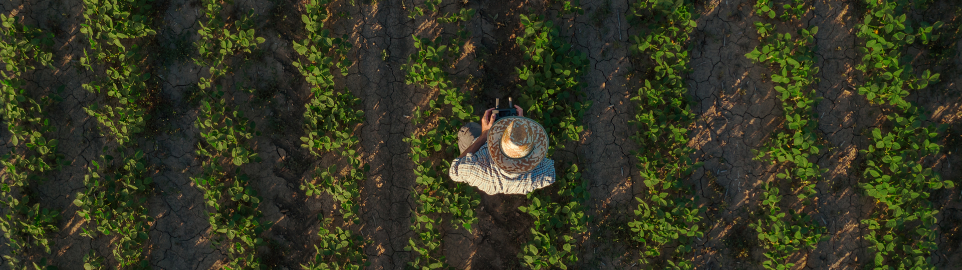 About ClientEarth | ClientEarth