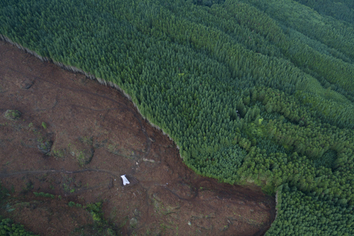 Aeriel view of deforestation