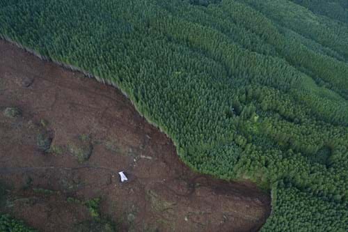 Aeriel view of deforestation