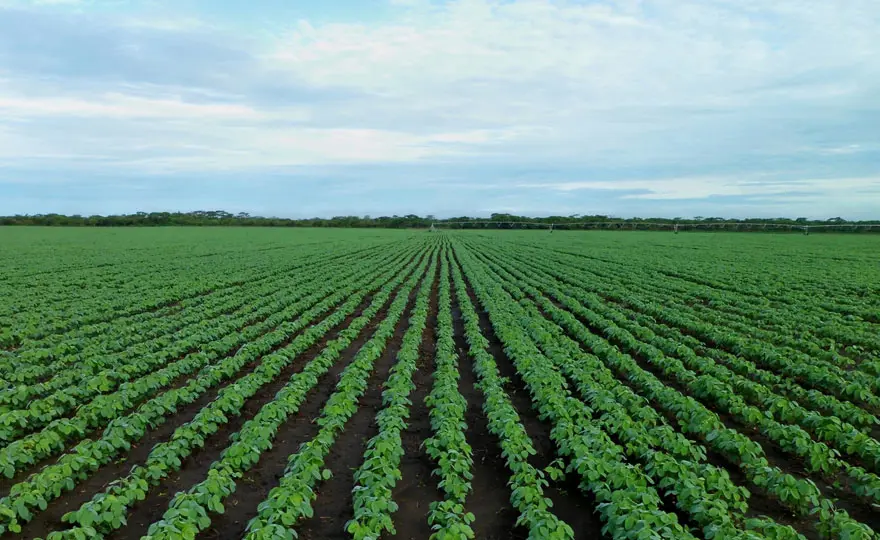 EU internal review mechanism: CJEU confirms broad principles on scope ...