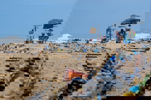 Plastic pollution on a beach