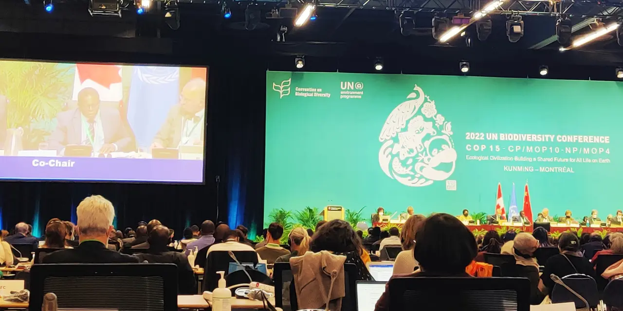 Negotiations at Cop15