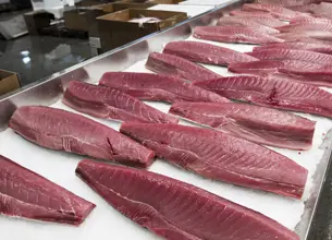 Cuts of fish at a fish counter