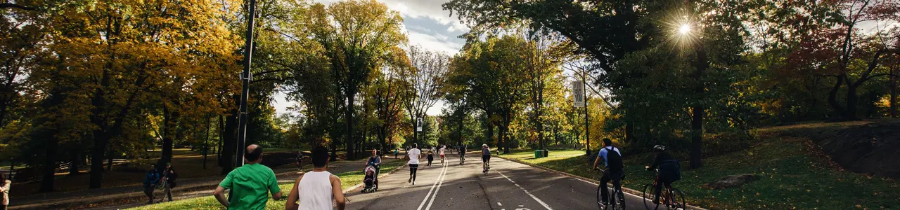 People running in a park