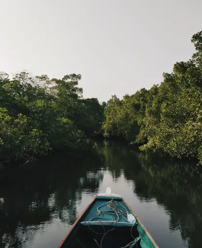 Boat on river in forest