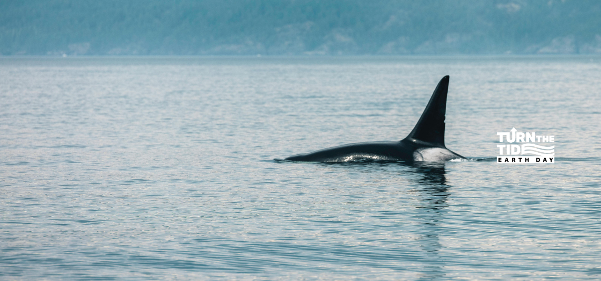 Montage of environmental images