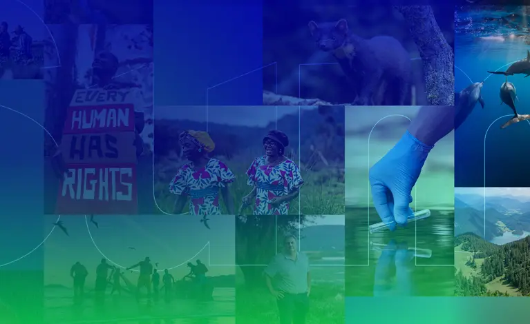 Montage of environmental images